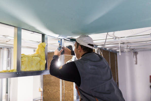 Best Energy Efficiency Solutions in Wliamsvle, IL