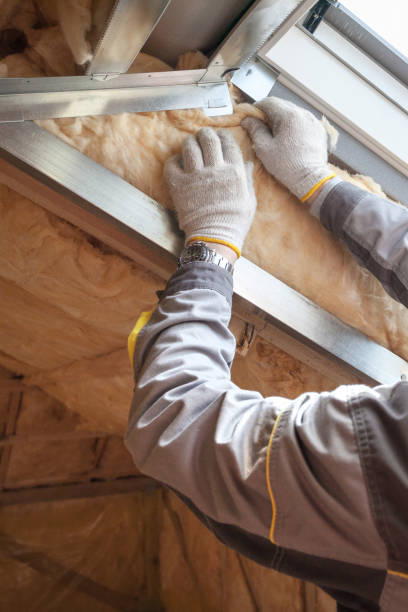 Best Specialty Insulation in Wliamsvle, IL