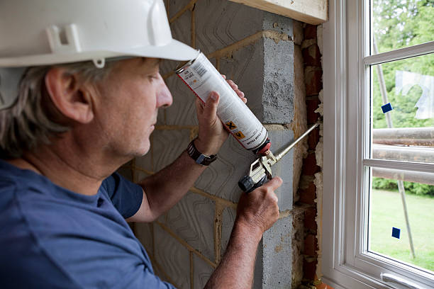 Best Insulation Maintenance and Repair in Wliamsvle, IL